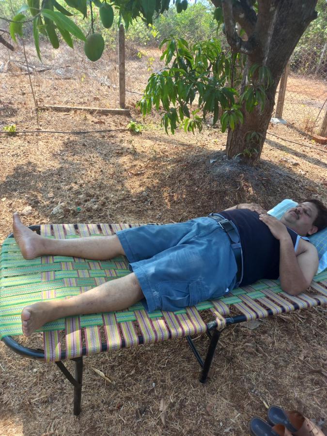Misty Woods Eco Cottages Harihareshwar Екстер'єр фото